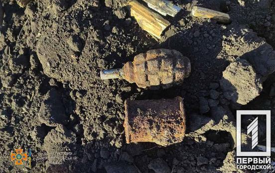 Неподалік Кривого Рогу знайшли та знищили дві застарілі гранати часів Другої світової війни