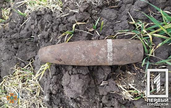Возле Кривого Рога мужчина нашёл в поле устаревший артиллерийский снаряд