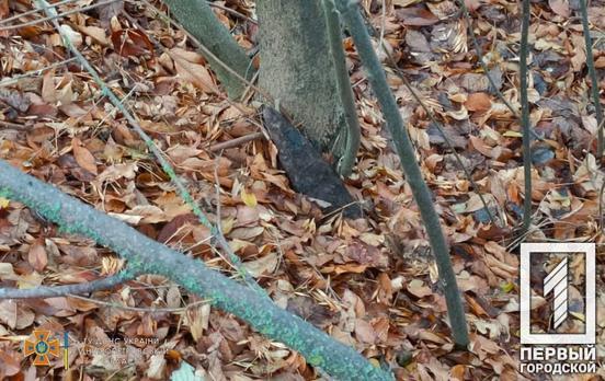 Вблизи Кривого Рога во время сбора грибов в лесополосе обнаружили устаревший боеприпас
