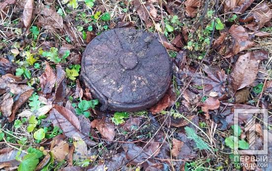 У Кривому Розі та його околицях знайшли застарілі боєприпаси часів Другої світової війни