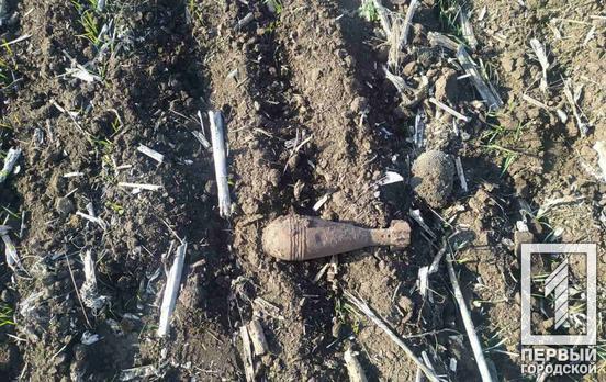 Міна та граната: упродовж двох днів у селищах поблизу Кривого Рогу виявили та ліквідували застарілі боєприпаси