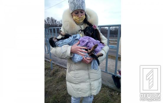 Рятувальники Кривого Рогу визволили цуценят, які застрягли між гаражів