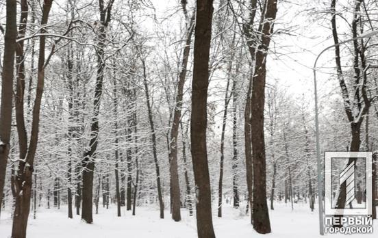 18 января в Кривом Роге будет пасмурно, возможен снег