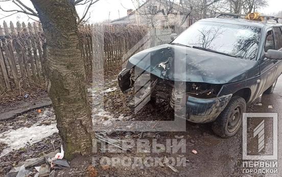 В Кривом Роге легковушка врезалась в дерево, водителя госпитализировали