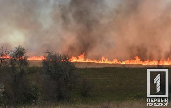 За останню добу на Дніпропетровщині гасили майже 70 пожеж через паління сухостою