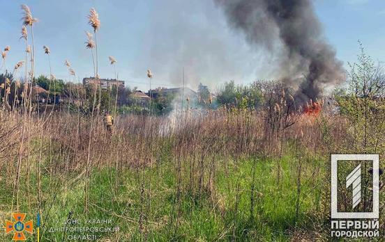 В одному з районів Кривого Рогу пожежні ліквідували займання, що вирувало на двох гектарах трави