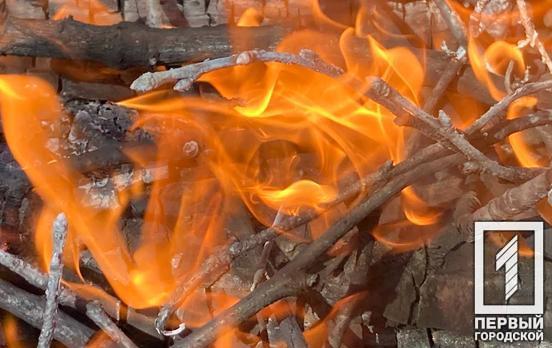 Криворожский район – лидер по количеству пожаров в экосистемах в регионе, – ГСЧС