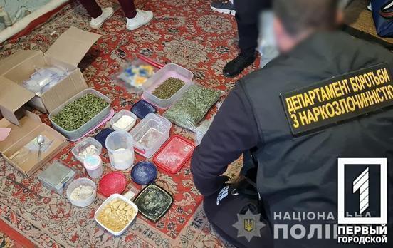 Наркотиків на два мільйони: поліцейські затримали дилерку з Кривого Рогу, яка відправляла заборонені речовини поштою по всій країні