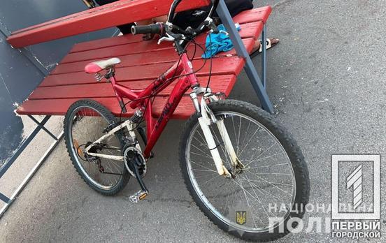 Поліцейські затримали мешканця Кривого Рогу, який силою відібрав велосипед у літнього містянина