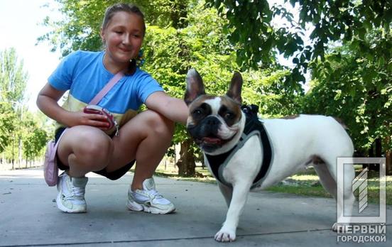 12-летняя школьница из Кривого Рога зарабатывает деньги, выгуливая собак и передает средства на помощь ВСУ