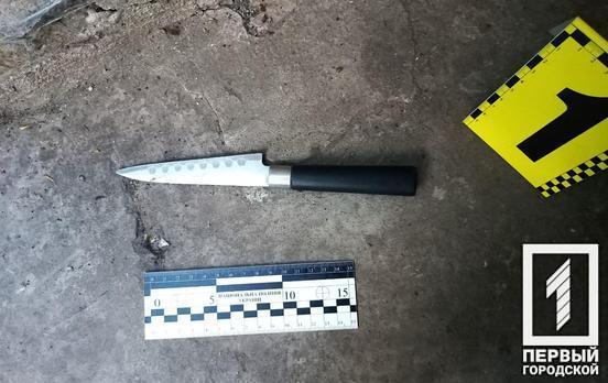 Полицейские Кривого Рога задержали пожилого мужчину, который ударил ножом свою знакомую