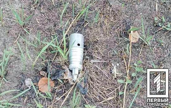 За добу піротехніки знищили 26 касетних елементів, які знайшли у Криворізькому районі