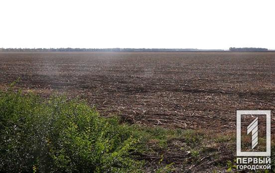 Около трети украинских полей могут быть недоступны для посевной, – оценка агроугодий