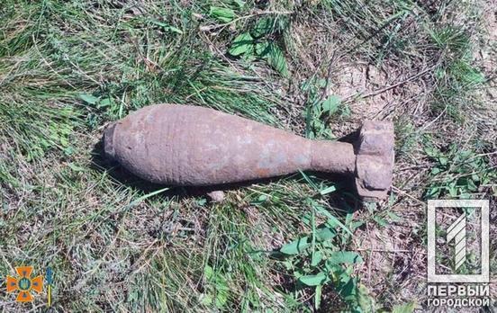 Минометные мины и кассетные снаряды: в Криворожском районе пиротехники обезвредили взрывоопасные предметы