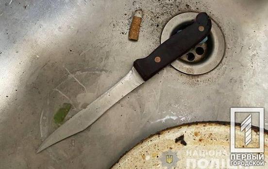 Полицейские Кривого Рога задержали девушку, которая несколько раз ударила своего отца ножом в грудь
