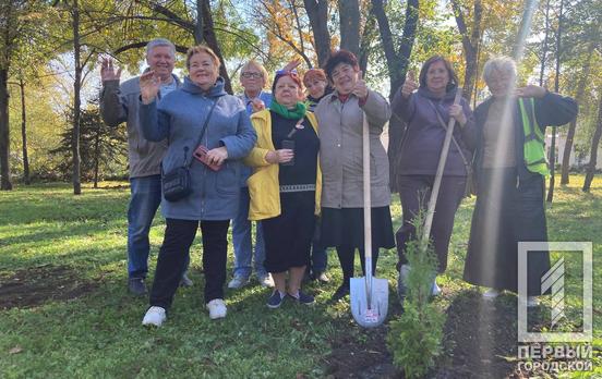 У Парку імені Федора Мершавцева, що у Центрально-Міському районі Кривого Рогу висадили смарагдові туї