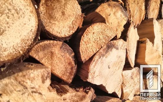 Более 500 млн грн Правительство выделит для закупки дров, которые отправят в прифронтовые громады восьми регионов, в том числе и на Днепропетровщину