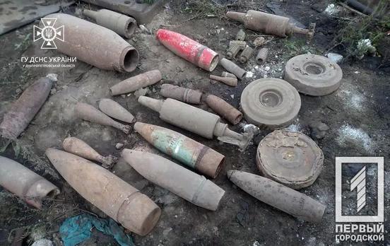 46 вражеских снарядов уничтожили пиротехники в Днепропетровской и Херсонской областях