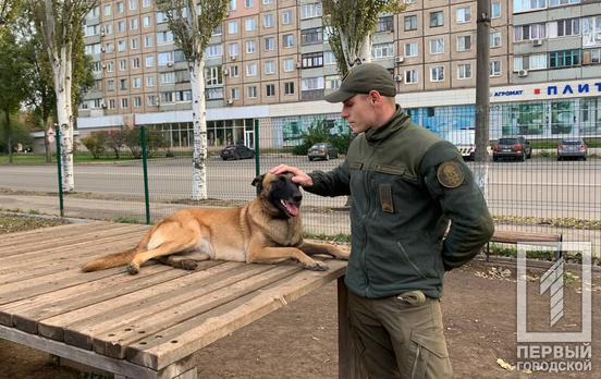 В Кривом Роге за правопорядком на улицах города следят вместе с военнослужащими несколько десятков специально обученных собак