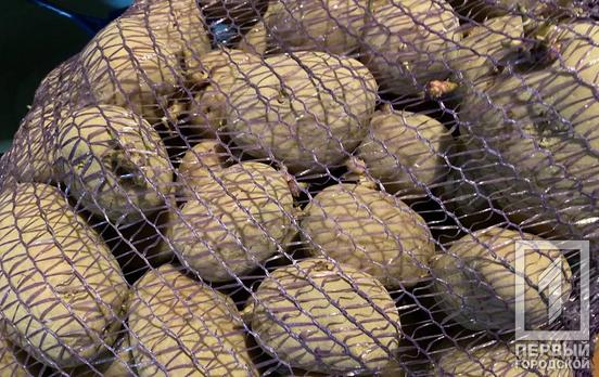 Цінник в Україні на картоплю, або не зміниться, або трохи підніметься, - експерти