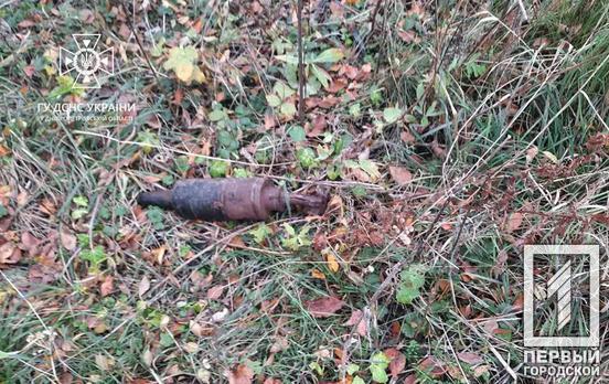 За прошедшие дни в Криворожском районе ликвидировали 65 снарядов