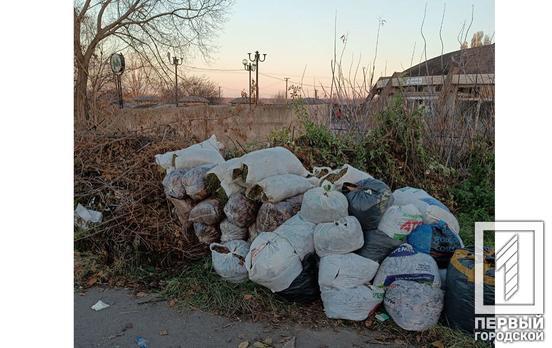 Жителям Саксаганского района Кривого Рога напомнили о запрете сожжения сухих и опавших листьев