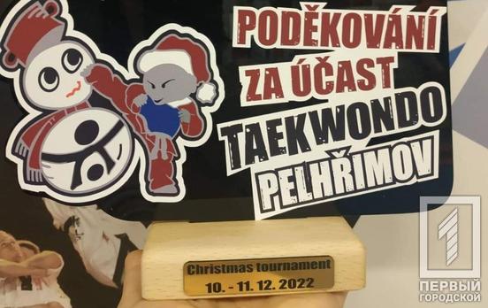 Три бронзовых награды получили криворожские спортсмены на чешском турнире по тхэквондо