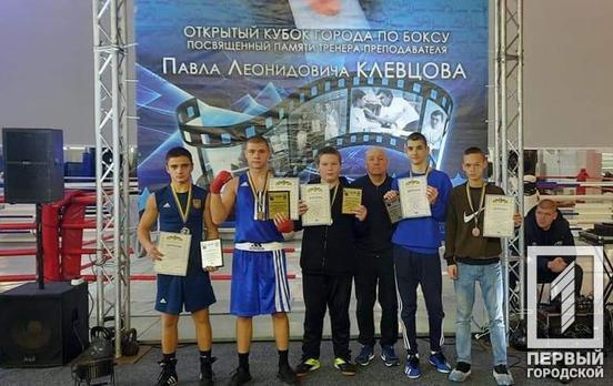 Воспитанники спортивной школы Кривого Рога завоевали 10 наград на городском Открытом кубке по боксу