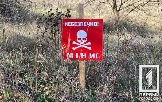 Украина является наиболее загрязненным минами государством в мире, – эксперт