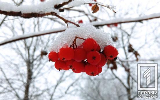 Наступного тижня в Україні очікують до 19°С морозу й сніг, – прогноз експертів
