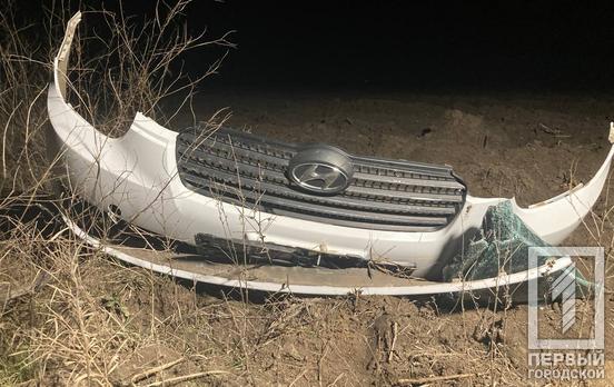 Под Кривым Рогом в автомобильную аварию попала целая семья, водитель погиб на месте