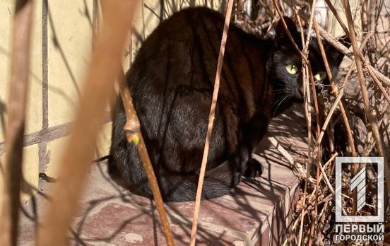 В Украине в марте прогнозируют умеренную весну, температура будет достигать до 7°С тепла, - Укргидрометцентр