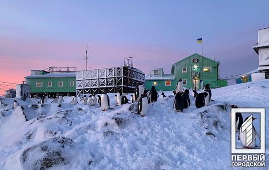 З незламної України в крижану Антарктиду: дизеліст із Кривого Рогу увійшов до складу експедиції на станції «Академік Вернадський»