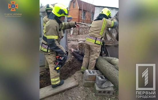 Спасатели Кривого Рога помогли мужчине, которого едва не раздавило дерево