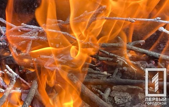 С начала года в Криворожском районе произошло почти 70 пожаров в экосистемах, а также 57 возгораний из-за сжигания мусора