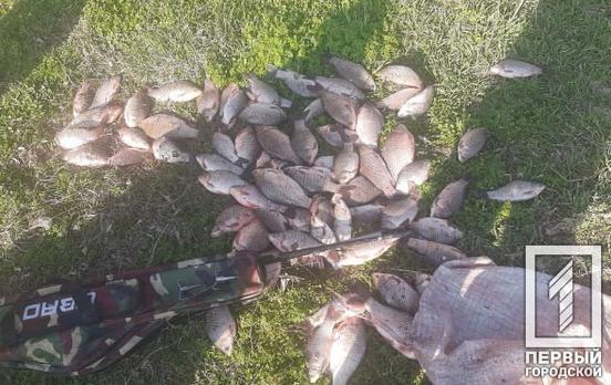 Поблизу Кривого Рогу затримали чоловіка, котрий незаконно виловив більше 80 рибин на 130 тисяч гривень