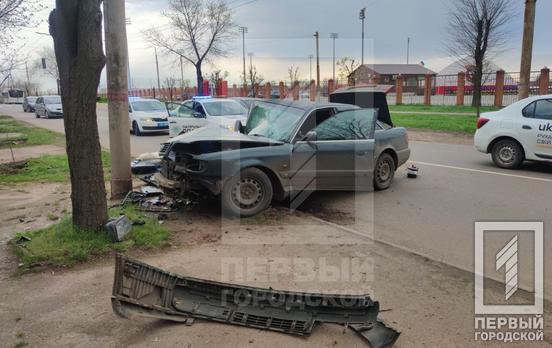 Поверталися від родичів і втрапили у ДТП: у Кривому Розі Audi, яку «підрізали», влетіла у стовп