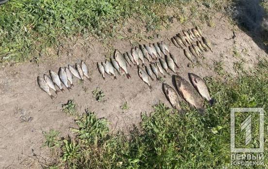 Спіймана рибка виявилась «золотою»: у Криворізькому районі викрили грубе порушення правил рибальства