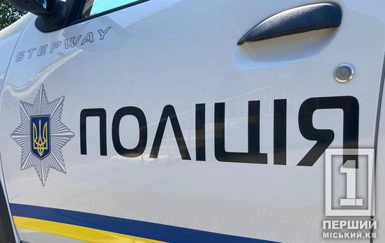 Ігнорування судового припису та умисне вбивство: зведення поліції про криміногенну ситуацію в одній з громад Криворіжжя