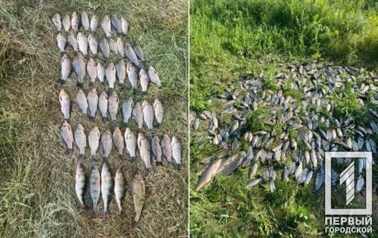 Пока враги занимаются мором рыбы, в тылу не отстают: неподалеку от Кривого Рога разоблачили двух незаконных рыбаков, которые нанесли 700 тыс