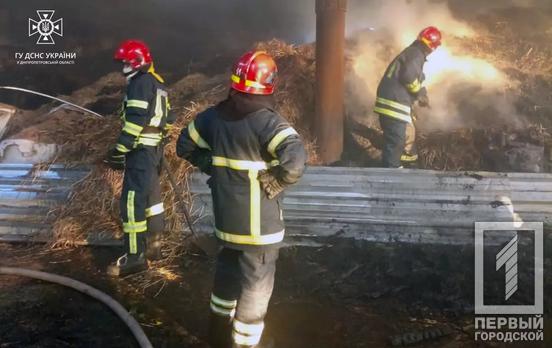 Вогняна спека: на Криворіжжі палали поле пшениці та ангар з врожаєм, є постраждалий