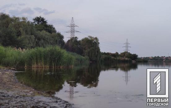 У Кривому Розі фіксується надмірна кількість комарів: як вберегтися від дирофіляріозу