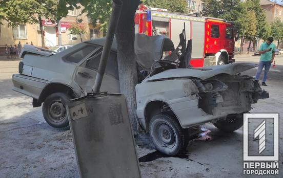 Возле места удара стояла коляска с ребенком: в Ингулецком районе в ДТП после столкновения с деревом погиб водитель автомобиля Lаda