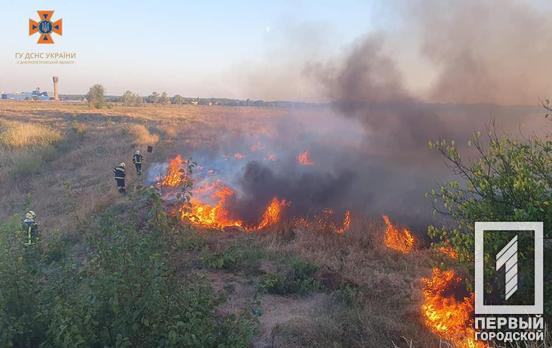 Не кидайте недопалки в траву і не паліть сухостій: вогнеборці Дніпропетровщини за минулу добу ліквідували 60 загорянь