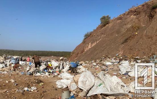 Личность погибшей пока неизвестна: в Кривом Роге на мусорном полигоне обнаружена мертвая женщина