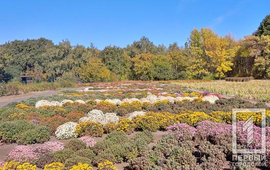 Ботанический сад Кривого Рога отмечает 25-летие с момента получения статуса научного заведения