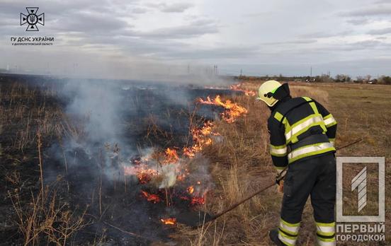 Понад 31 гектар випаленої землі: на Дніпропетровщині лише за одну добу в екосистемах довелося гасити 29 пожеж