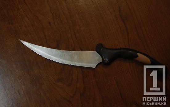 Алгоколь подогрел злобу: судили женщину, которая воткнула нож мужчине в живот