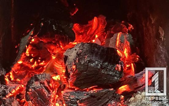 Понад 16 тисяч на придбання твердого палива: держава збільшить суму допомоги тим, хто опалює оселі дровами
