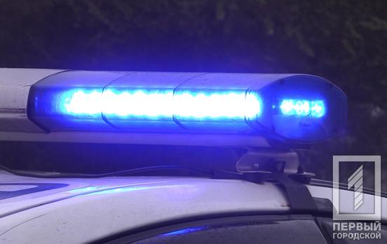 Смертельна бійка на узбіччі дороги у Криворізькому районі і пильний водій попутки: поліція затримала чоловіка, який вбив жінку